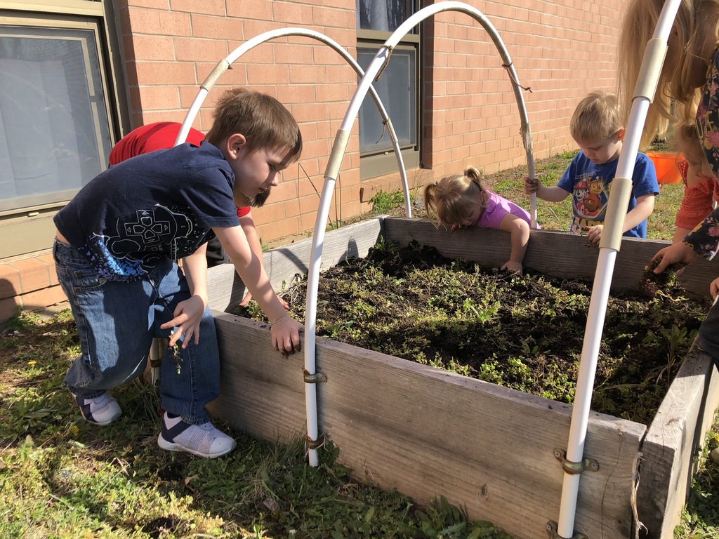Pre-K Students working in a greenhouse