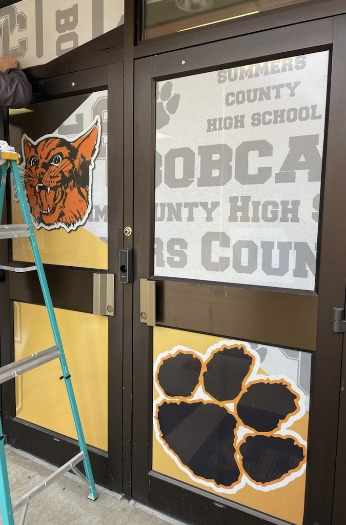 Door Graphics